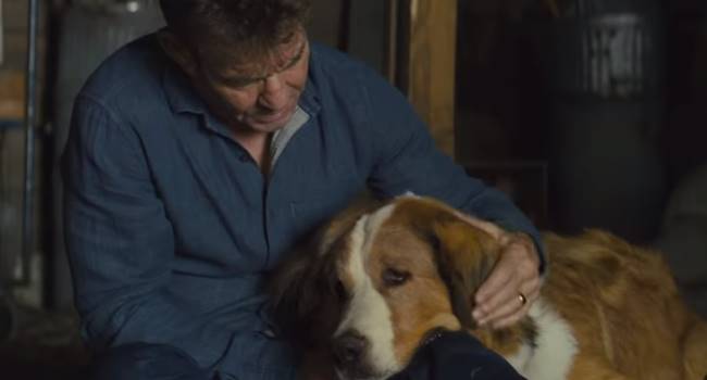 A Dog's Journey